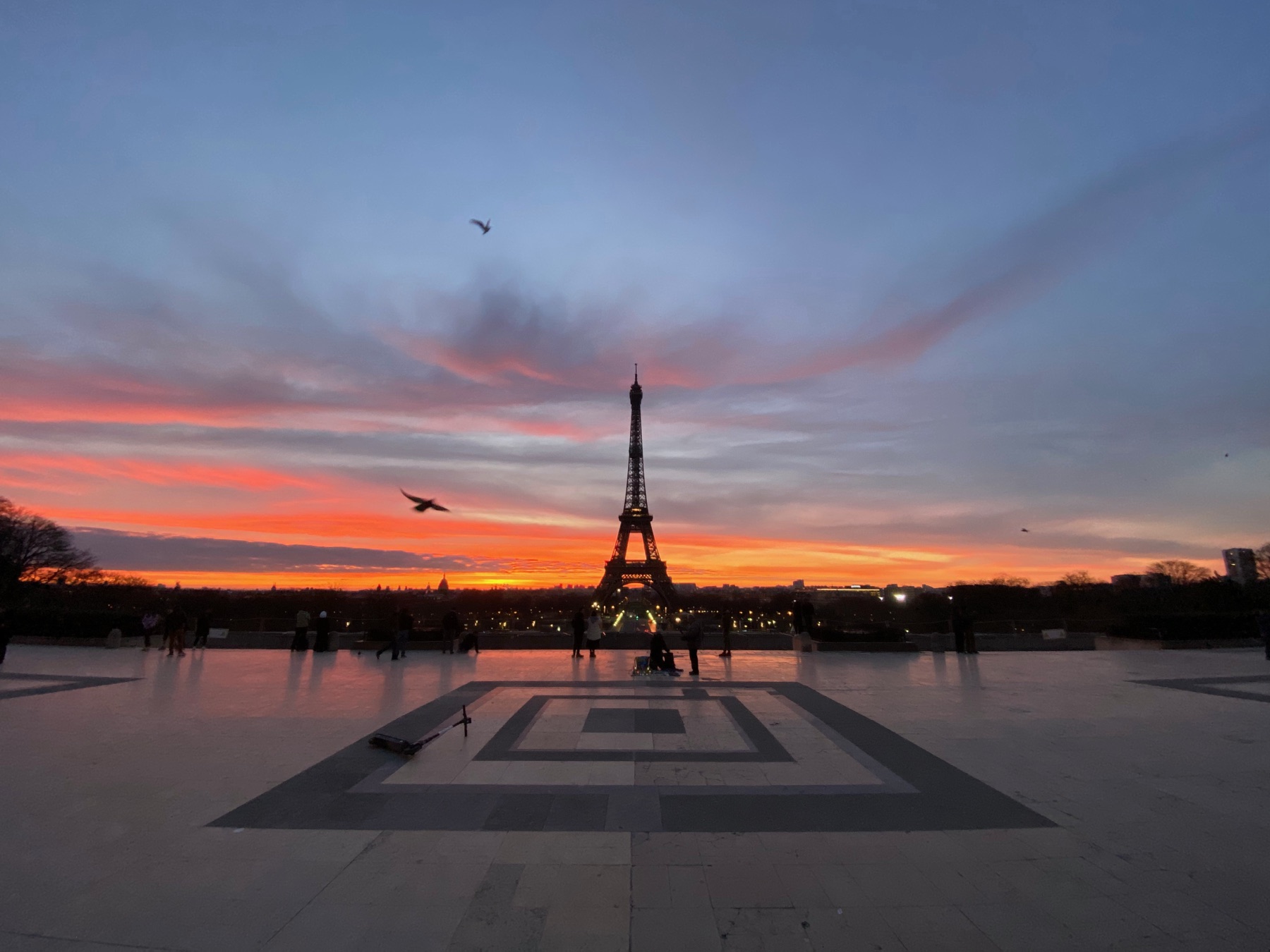 Eiffel Tower seen through winter branches in warm light
