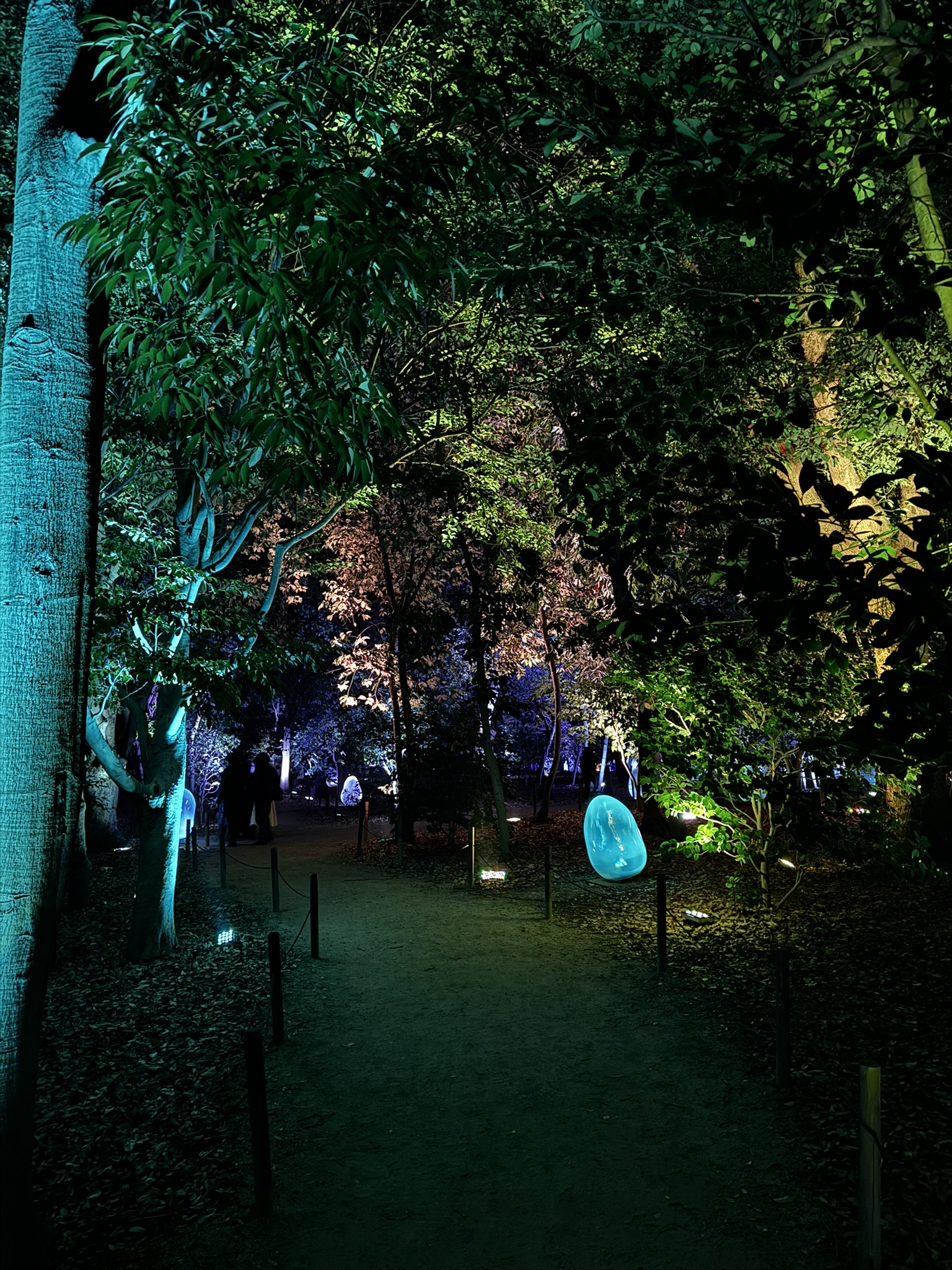 Lit pathway and bare trees at Osaka Botanic Garden at night