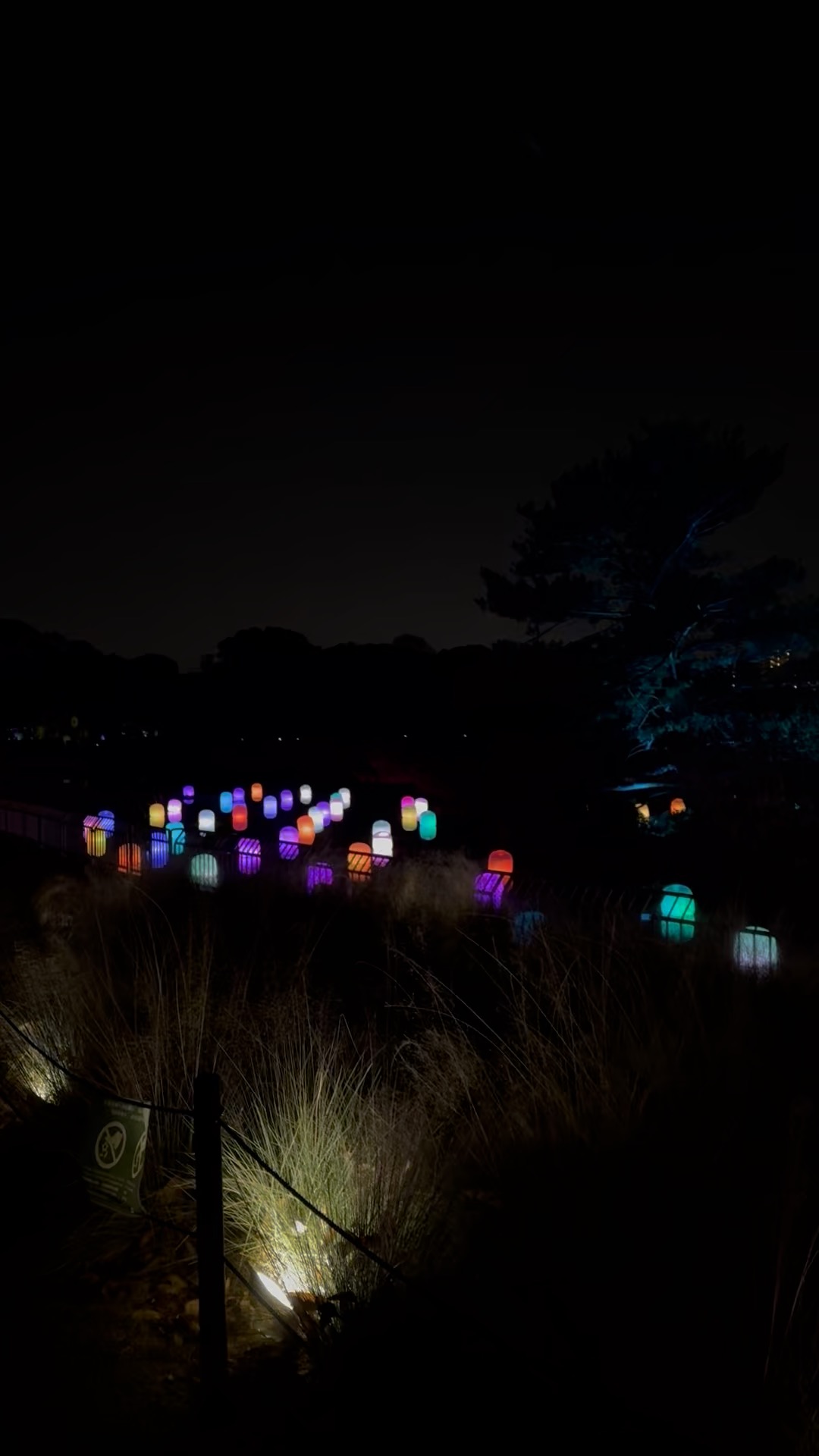 Colorful glowing lights near the water at Osaka Botanic Garden