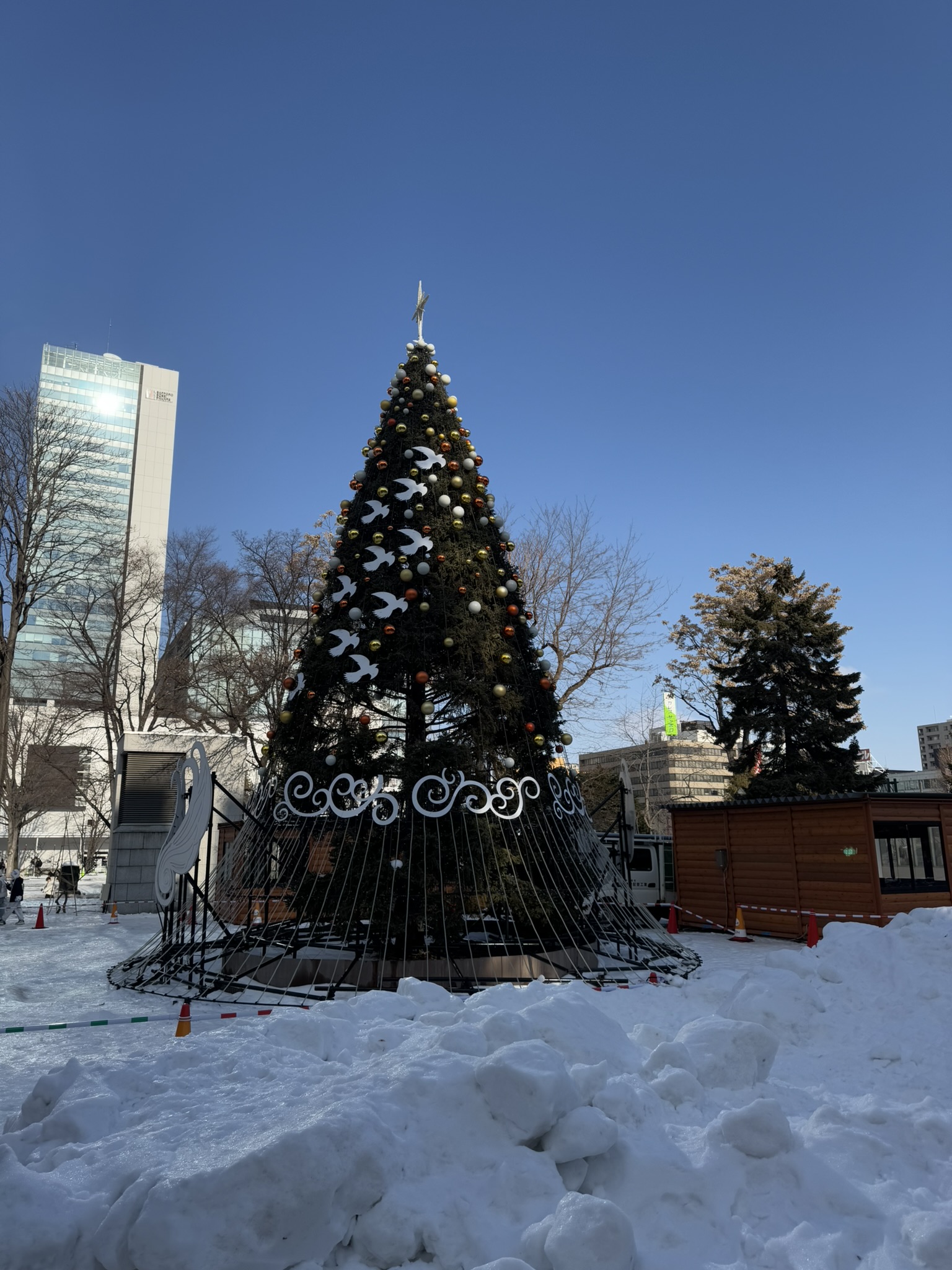 Large decorated Christmas tree in snowy Odori Park