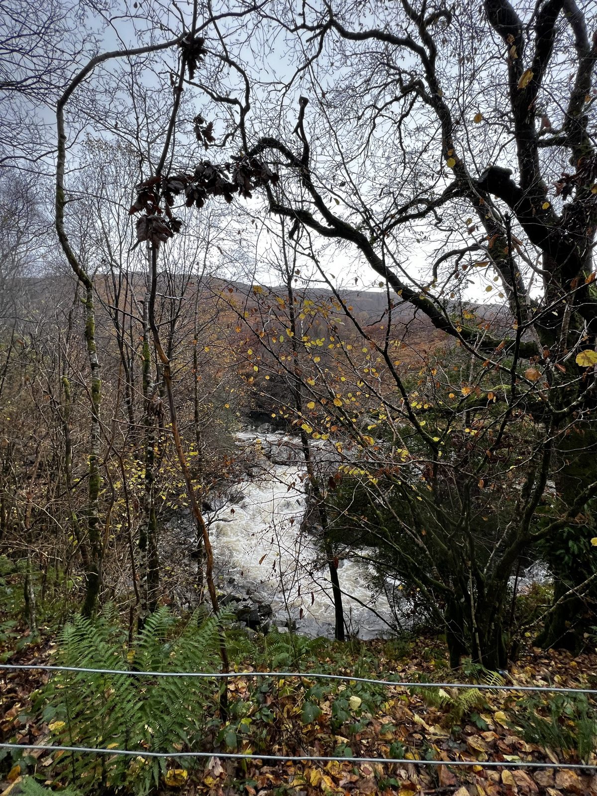 Fast river running through wet Highland woods